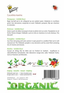 Buzzy® zaden - Organic Pompoen Uchiki Kuri  (BIO) - afbeelding 4