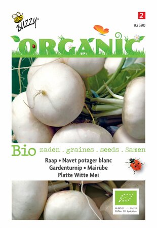 Buzzy® zaden - Organic Raap Platte Witte Mei (BIO) - afbeelding 1