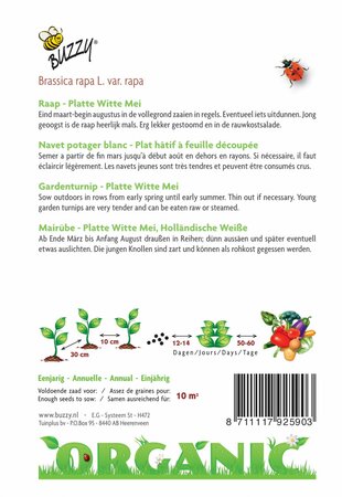 Buzzy® zaden - Organic Raap Platte Witte Mei (BIO) - afbeelding 2