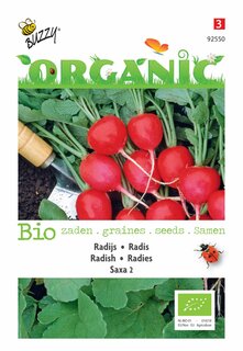 Buzzy® zaden - Organic Radijs Saxa 2 (BIO) - afbeelding 1