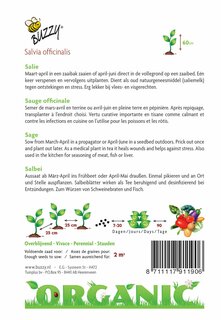 Buzzy® zaden - Organic Salie  (BIO) - afbeelding 2