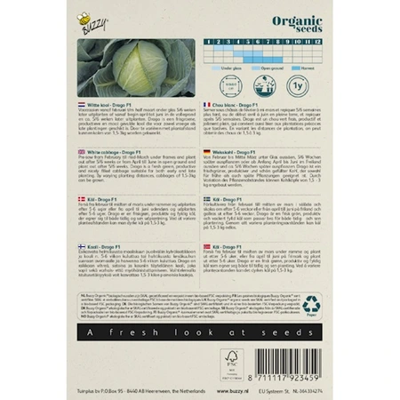 Buzzy® Organic Seeds - Spitskool Caraflex F1 (BIO) - afbeelding 2