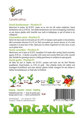 Buzzy® zaden - Organic Snackkomkommer Picolino (BIO) - afbeelding 2