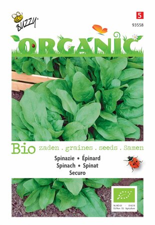 Buzzy® zaden - Organic Spinazie Securo  (BIO) - afbeelding 1
