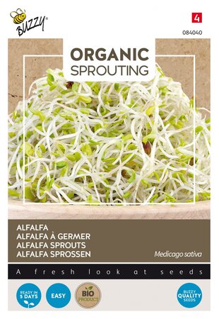 Buzzy® zaden - Organic Sprouting Alfalfa (BIO) - afbeelding 1