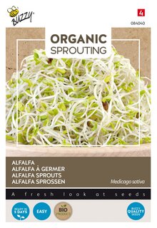 Buzzy® zaden - Organic Sprouting Alfalfa (BIO) - afbeelding 4