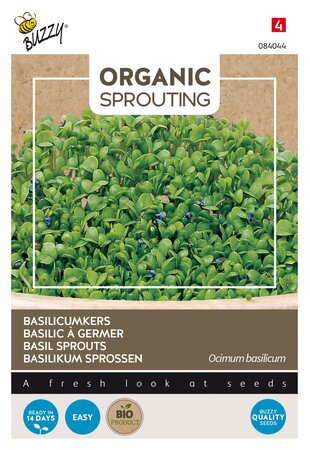 Buzzy® zaden - Organic Sprouting Basilicumkers (BIO) - afbeelding 1