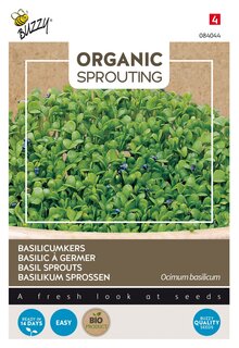 Buzzy® zaden - Organic Sprouting Basilicumkers (BIO) - afbeelding 4