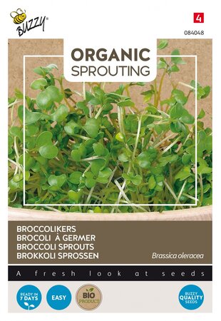 Buzzy® zaden - Organic Sprouting Broccolikers (BIO) - afbeelding 1