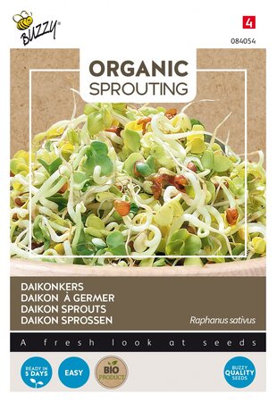 Buzzy® zaden - Organic Sprouting Daikonkers  (BIO) - afbeelding 1