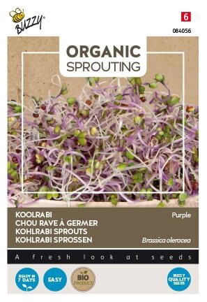 Buzzy® zaden - Organic Sprouting Koolrabi blauwpaars (BIO) - afbeelding 1