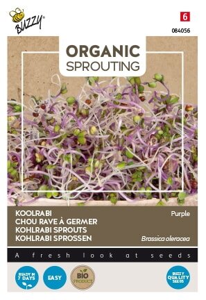 Buzzy® zaden - Organic Sprouting Koolrabi blauwpaars (BIO) - afbeelding 4