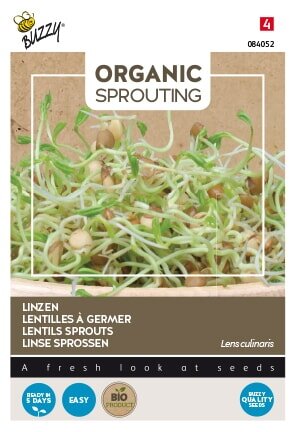 Buzzy® zaden - Organic Sprouting Linzen  (BIO) - afbeelding 1