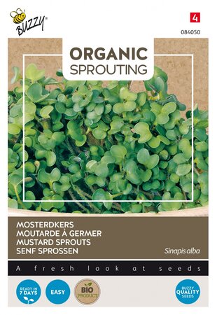 Buzzy® zaden - Organic Sprouting Mosterdkers  (BIO) - afbeelding 1