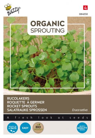 Buzzy® zaden - Organic Sprouting Rucolakers  (BIO) - afbeelding 1