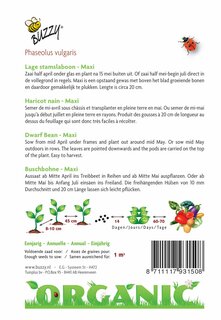 Buzzy® zaden - Organic Stamslabonen Maxi  (BIO) - afbeelding 4