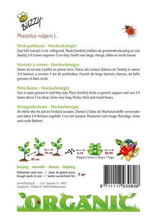 Buzzy® zaden - Organic Stokspekboon Neckarkönigin (BIO) - afbeelding 4