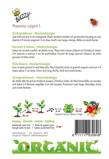 Buzzy® zaden - Organic Stokspekboon Neckarkönigin (BIO) - afbeelding 4