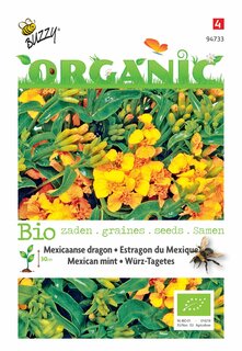 Buzzy® zaden - Organic Tagetes Lucida, Mexicaanse dragon (BIO) - afbeelding 3