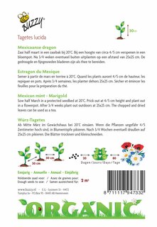 Buzzy® zaden - Organic Tagetes Lucida, Mexicaanse dragon (BIO) - afbeelding 4