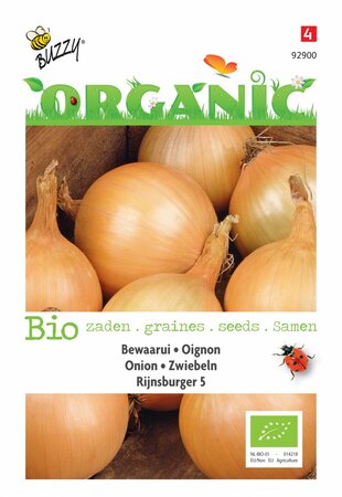 Buzzy® zaden - Organic Ui Rijnsburger 5, bewaarui (BIO) - afbeelding 1