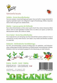 Buzzy® zaden - Organic Veldsla Grote Noordhollandse  (BIO) - afbeelding 4
