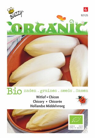 Buzzy® zaden - Organic Witlof Hollandse Middelvroeg  (BIO) - afbeelding 1