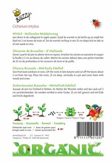 Buzzy® zaden - Organic Witlof Hollandse Middelvroeg  (BIO) - afbeelding 2