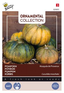 Buzzy® zaden - Ornamental Courgette Musque De Provence - afbeelding 1