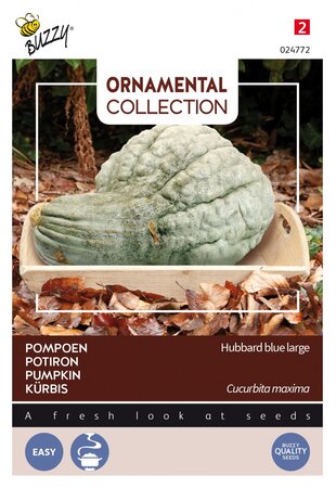 Buzzy® zaden - Ornamental Collection - Pompoen Hubbard Large Blue - afbeelding 1