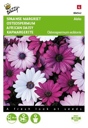 Buzzy® zaden - Osteospermum, Spaanse Margriet Akila mix - afbeelding 1