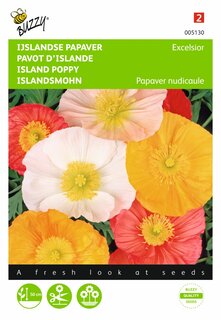 Buzzy® zaden - Papaver, IJslandse Excelsior gemengd - afbeelding 1