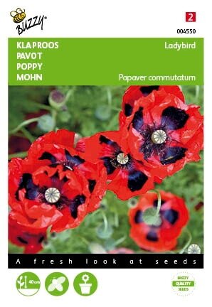 Buzzy® zaden - Papaver, Klaproos Lady Bird - afbeelding 1