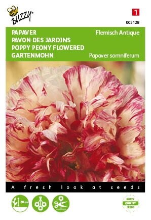 Buzzy® zaden - Papaver, Slaapbol Flemish Antique - afbeelding 1