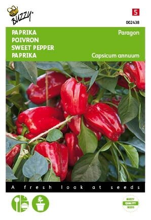 Buzzy® zaden - Paprika Snack Patio - rood - Paragon - afbeelding 1