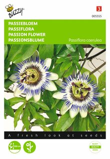 Buzzy® zaden - Passiflora, Passiebloem - afbeelding 2
