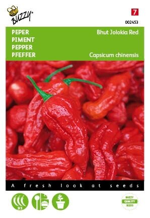 Buzzy® zaden - Peper Bhut Jolokia Red - afbeelding 1