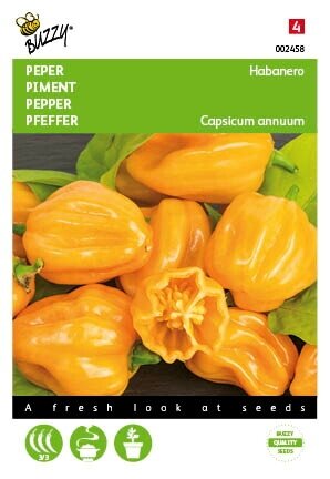 Buzzy® zaden - Peper Habanero oranje - afbeelding 1