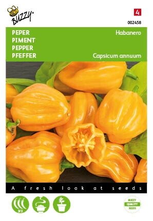 Buzzy® zaden - Peper Habanero oranje - afbeelding 1