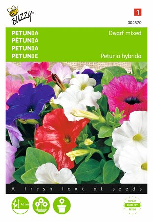 Buzzy® zaden - Petunia laag gemengd - afbeelding 1