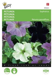 Buzzy® zaden - Petunia Sophistica gemengd - afbeelding 2
