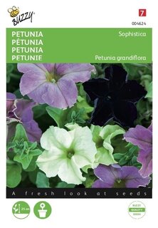 Buzzy® zaden - Petunia Sophistica gemengd - afbeelding 1