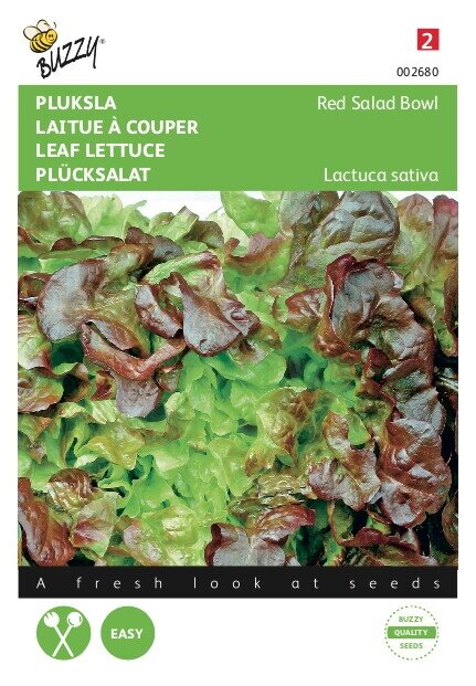 Buzzy® zaden - Pluksla Red Salad Bowl, Rode Eikenblad - afbeelding 1