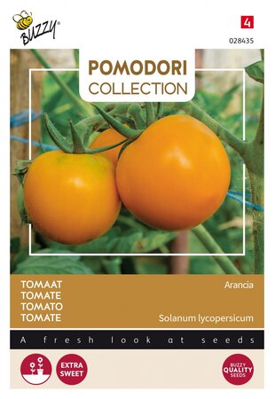 Buzzy® zaden - Pomodori, Tomaat Arancia - afbeelding 1