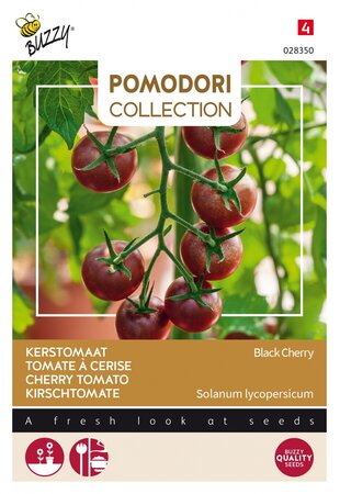 Buzzy® zaden - Pomodori Collection - Tomaat Black Cherry - afbeelding 1