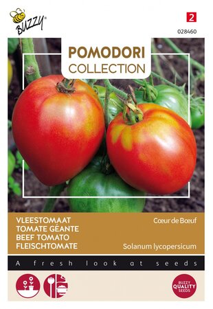 Buzzy® zaden - Pomodori, Tomaat Cuor Di Bue - afbeelding 1