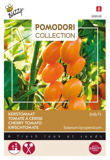 Buzzy® zaden - Pomodori Collection - Tomaat Dolly F1 - afbeelding 1