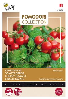 Buzzy® zaden - Pomodori, Tomaat Minuscolo - afbeelding 2