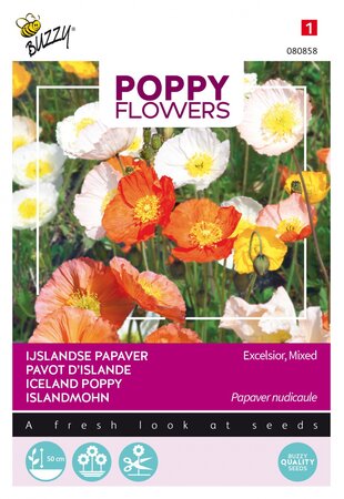 Buzzy® zaden - Poppy Flowers, IJslandse papaver - afbeelding 1