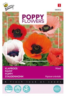 Buzzy® zaden - Poppy Flowers, Orientaalse papaver - afbeelding 4